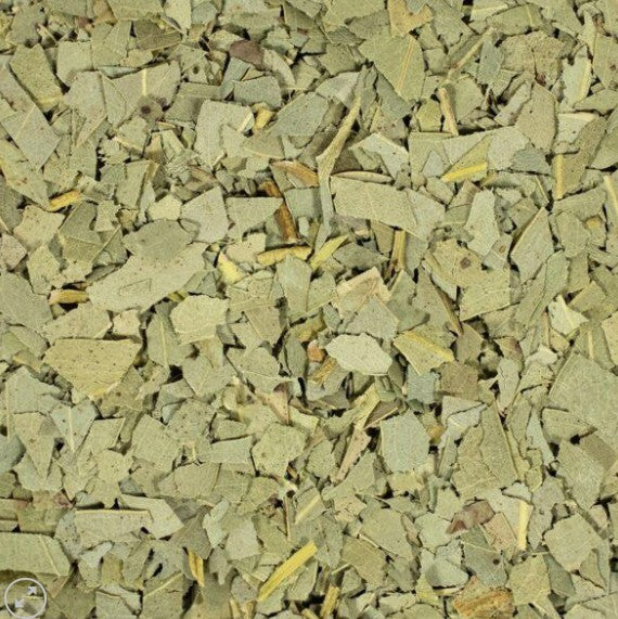 Eucalyptusblad (gedroogd)