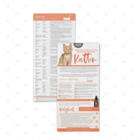 Katten Infokaart 10 stuks NEDERLANDS